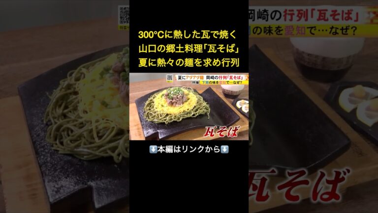 ⬆️本編はリンクから⬆️開店半年後に“逃げ恥”で一気に注目…故郷・山口の『瓦そば』を愛知で 女性店主が地域の仲間とつくる人気食堂#shorts