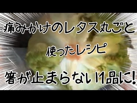 冷蔵庫に眠ってたレタスを丸ごと使ったレシピ！