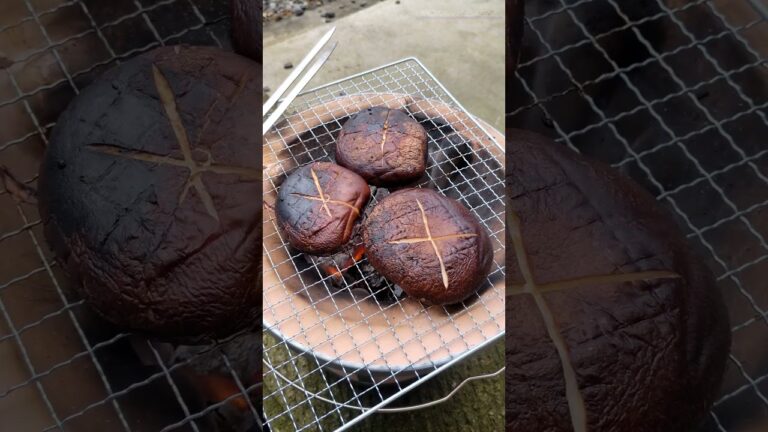 椎茸炭火焼き