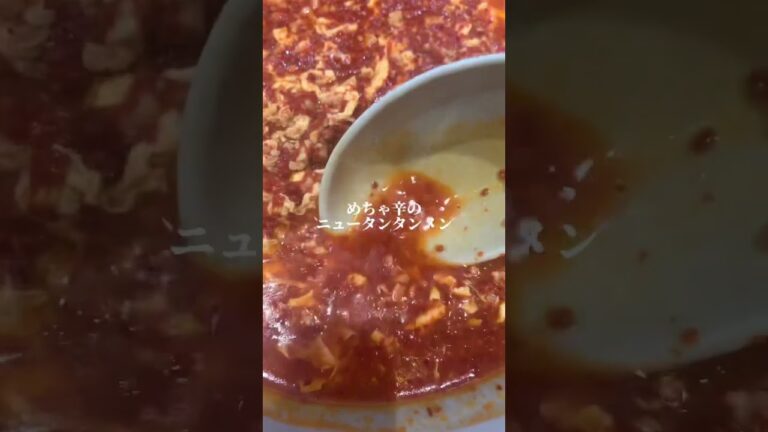 【激辛】大辛の上の「めちゃ辛」は程よい旨辛です【元祖ニュータンタンメン】#元祖ニュータンタンメン #川崎グルメ @IKKOSFILMS #YouTubeいっこーず #YouTubeイッコーズ