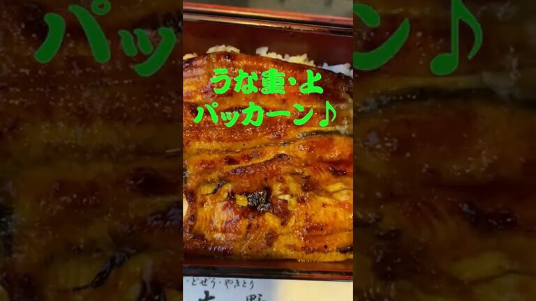 【うな重パッカーン♪】江戸川区『うなぎ大野』うな重上 #うなぎ #飯テロ   #shorts