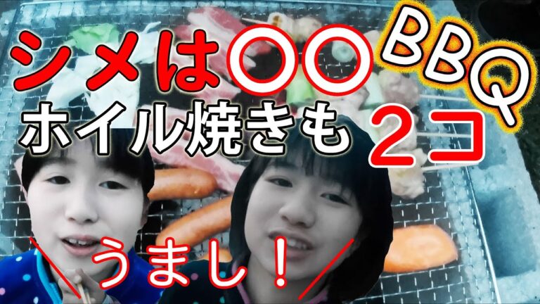 【お庭でBBQ】ねぎまが定番！ホイル焼きもおいしかった♪シメはその場で考えた鉄板を使ったアレ！