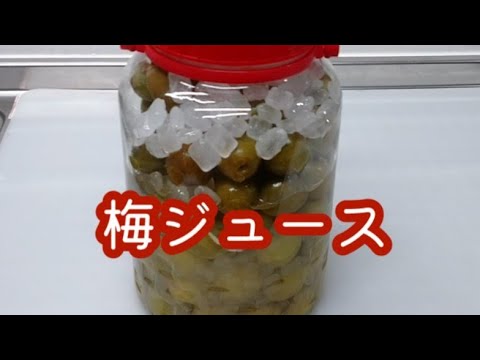 「梅ジュース」の作り方 夏バテ予防に！熱中症対策に！梅シロップの作り方 美味しい ウメ ドリンク レシピ 初夏の梅仕事 爽やかな味わい うめ 作り方 処理