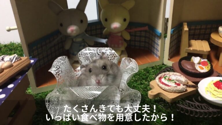 すじこんの　わが家でパーティー！