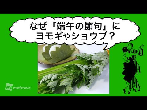 なぜ「端午の節句」にヨモギやショウブ？