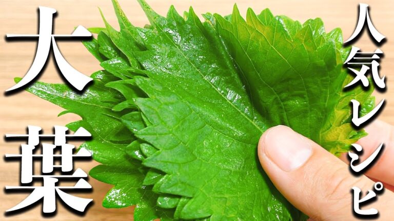 【大葉の醤油漬け】知らないと後悔するほど美味しい！超簡単で人気レシピ！！