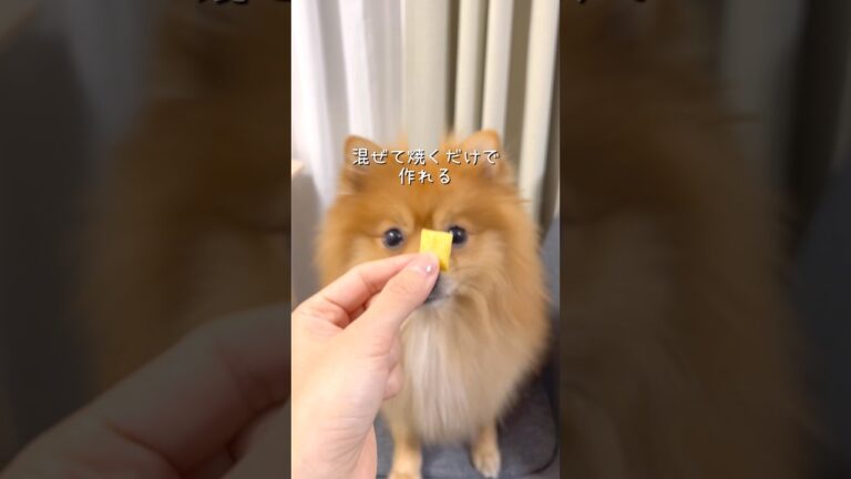 カリカリさつまいもクッキー