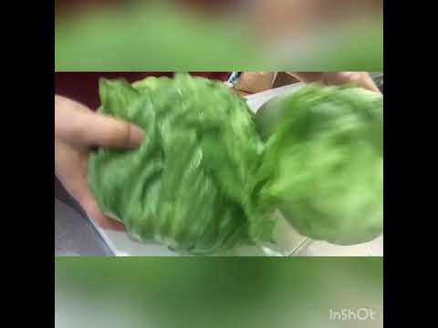 毎日ご飯❤︎鶏肉の炊き込みご飯＆レタス炒め