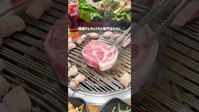 胃もたれ知らずの食べ放題が最高すぎる‥🇰🇷🐷