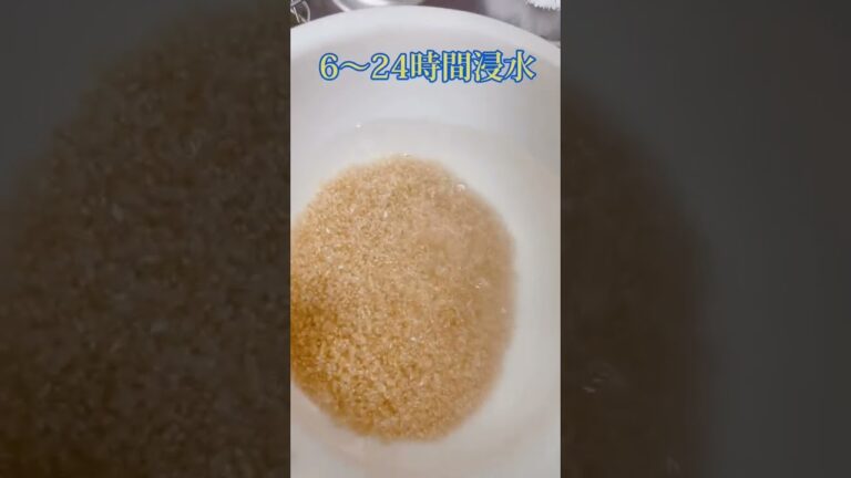 美味しい玄米の炊き方 #shorts #玄米 #美味しい炊き方 #料理