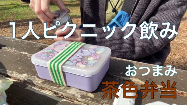 【1人ピクニック飲み】焦げたはんぺんフライ【茶色弁当】