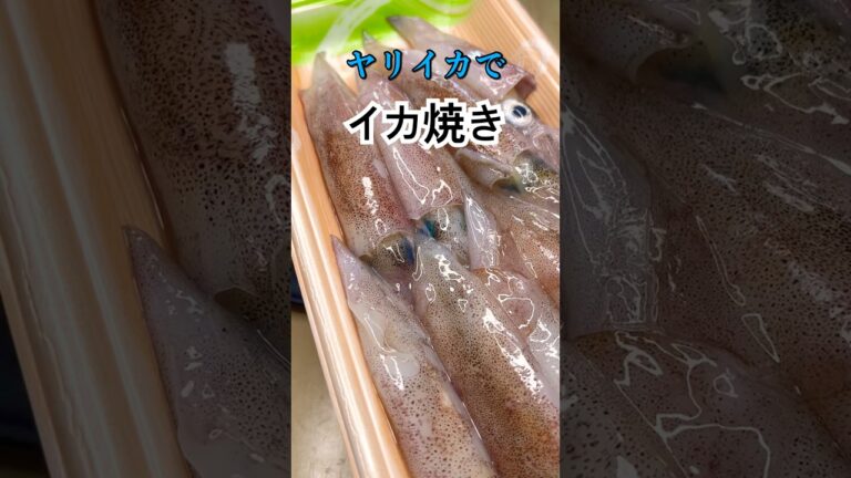 ヤリイカを捌いてイカ焼きを作る