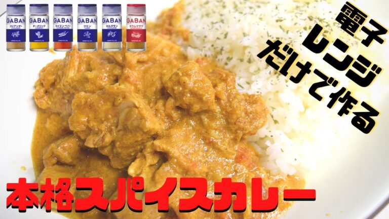 電子レンジ料理 簡単スパイスカレー/無水レシピで材料を入れるだけ【スパイスおじさん】