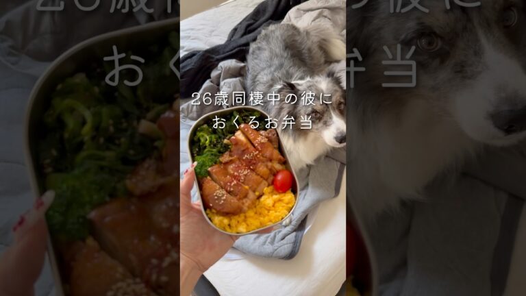 【同棲彼へのお弁当🍱】照り焼きチキン弁当#同棲ご飯 #毎日弁当 #お弁当 #彼氏弁当#旦那弁当