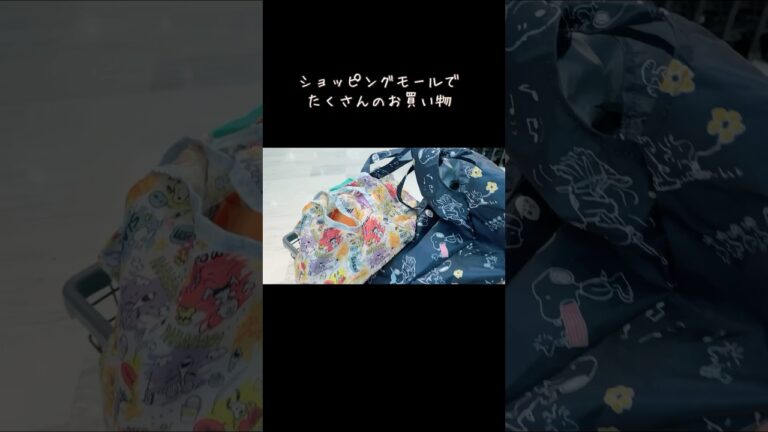こうすれば落ちないよ／ショッピングカートにたくさんのエコバッグ／50代の知恵袋