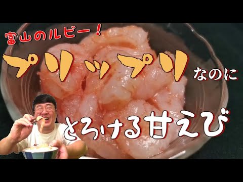 【甘えび】富山湾のルビー！プリプリなのにとろける甘さの甘えびのお刺身！【お取り寄せグルメ】