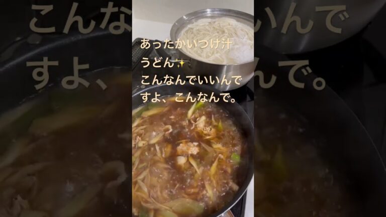 あったかいつけ汁うどん#asmr #うどん#アケメシ