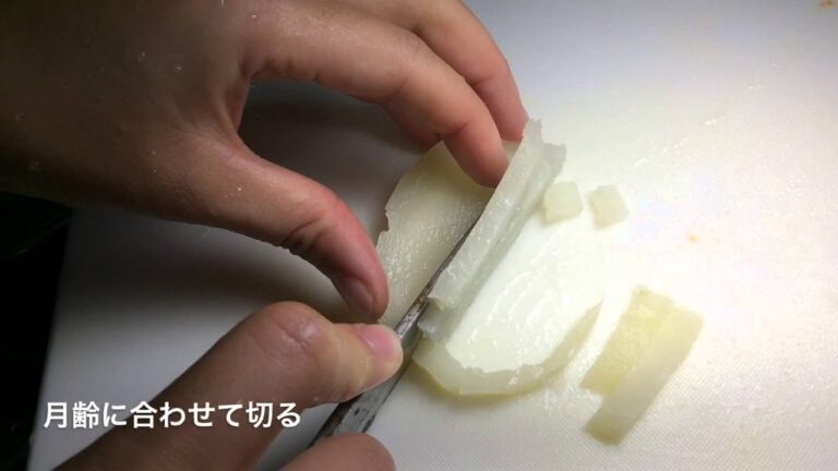 離乳食　じゃがいもとひじき煮【動画でわかる！和の離乳食レシピ】