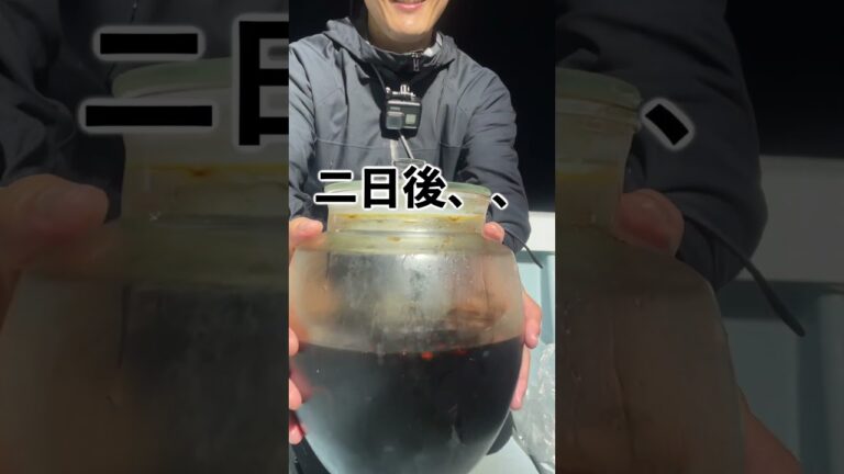 釣ったイカをそのまま沖漬けしてみた#shorts #short