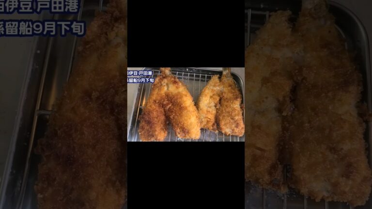 釣ったカマスをフライにしてタルタルソースかけて、サクッと食べるショート動画