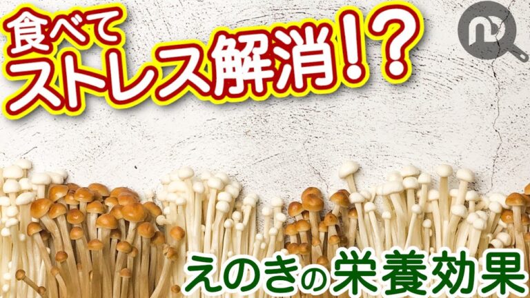えのきが秘める栄養効果！えのきを食べてストレス解消？！　N.D.Kitchen Wellness