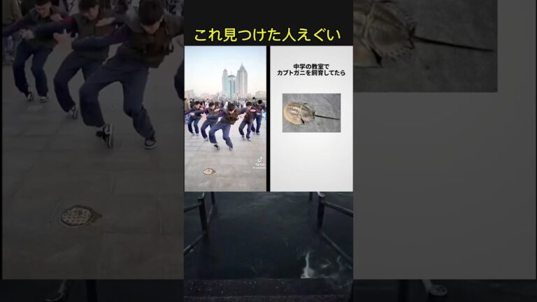 中国ダンスの既視感ってこれか (作成者は概要欄)#shortsvideo #shortsfeed#naruto #ナルトダンス