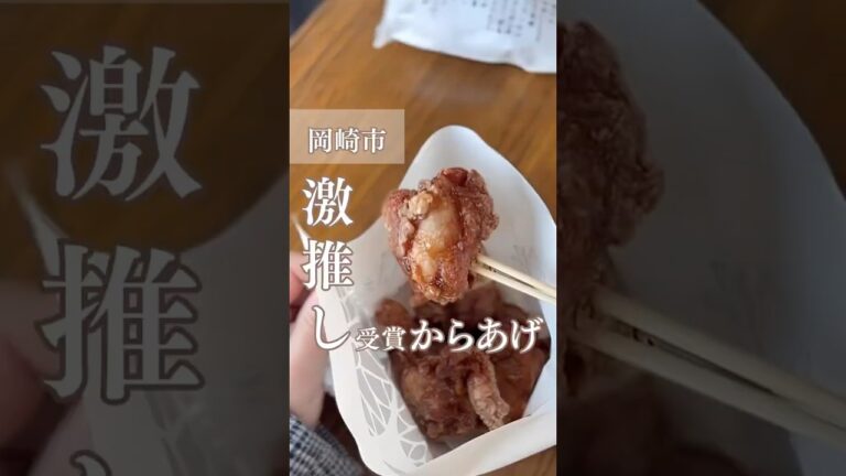 【 愛知県岡崎市 】激推し 受賞からあげ