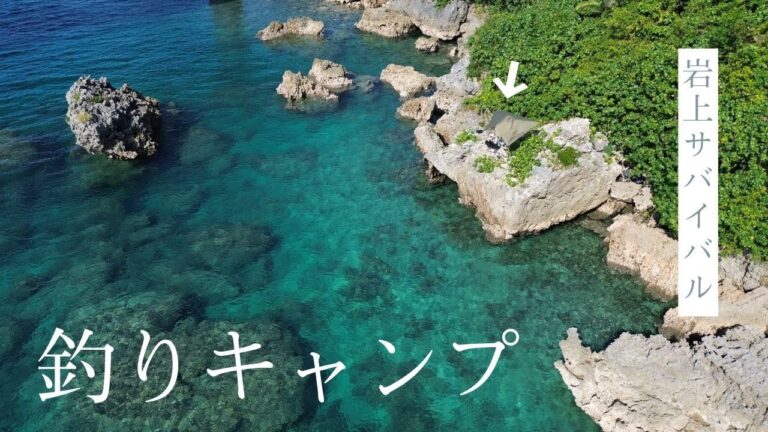 岩の上でサバイバルする社畜。最後にメーターオーバーがヒットする休日