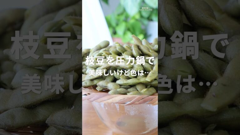 電気圧力鍋で枝豆を茹でてみた｜味は◎でも色が残念
