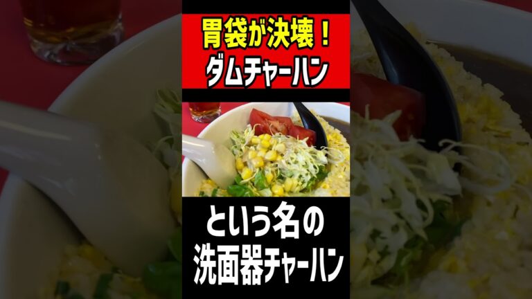 胃袋が決壊！ダムチャーハンという名の洗面器チャーハン！