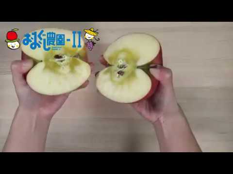 おおぐし農園2　簡単りんごジュースの作り方☆彡