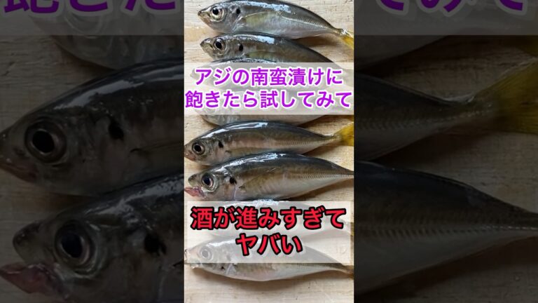 【飲み過ぎ注意】アジの南蛮漬けに飽きたら試してみて