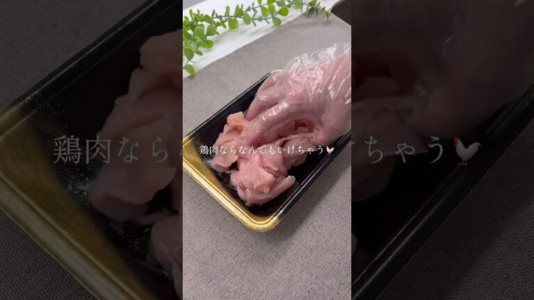 シャカシャカのり塩チキン