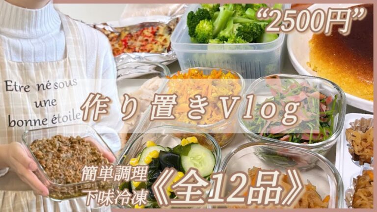 【作り置きvlog】“2500円”で簡単作り置き､冷凍ストック《全12品》