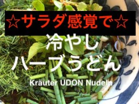 猛暑日に食べたくなるうどん【サラダ感覚冷しうどん 】ハーブうどん / Kräuter UDON Nudeln