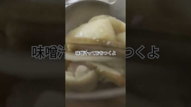 鶏肉とごぼうの味噌汁だよ #料理動画 #料理 #簡単レシピ #味噌汁