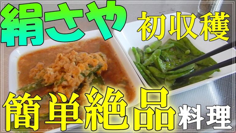 【絹さや】さやえんどうの初収穫が絶品だった【料理】Harvest silk pods for the first time and cook the best.