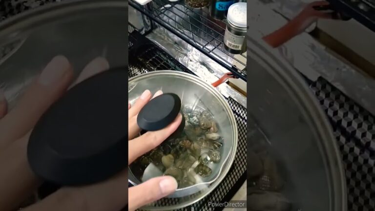 アサリ酒蒸し #料理 #酒蒸し #shorts