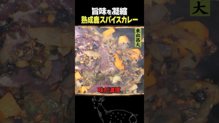 東出昌大 / 熟成鹿スパイスカレー