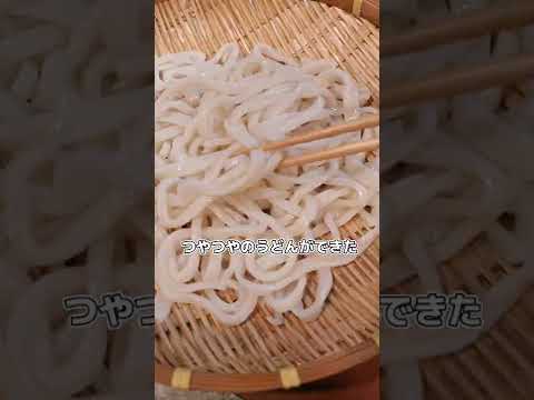 【30分で手打ちうどん】むしゃくしゃしてやった。今は反省してるしとにかくおいしかった('∇')【おうちごはんvlog】#shorts
