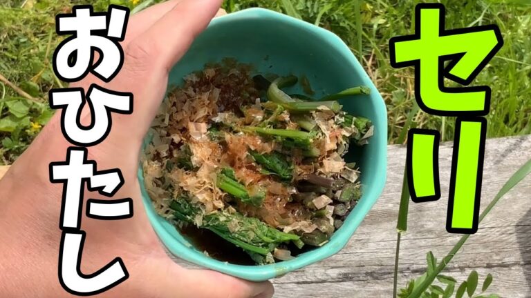 【セリのおひたし】裏庭に自生しているセリをお浸しにする！【せりのお浸しの作り方】