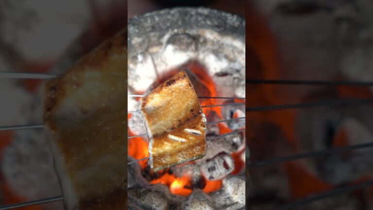 【七輪】サバの炭火焼がうますぎる！　#bbq #seafood #asmr #キャンプ飯