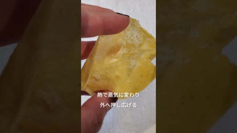 本格トルティーヤの作り方、知っていますか？