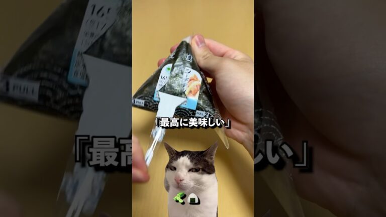 胡瓜とおにぎりは最高？　#コンビニ #新商品 #ファミマ