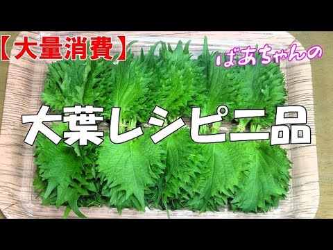 【大量消費】大葉レシピ二品『おつまみ等に大葉の包み揚げ　ご飯のお供に大葉味噌！！』Let's eat season's food