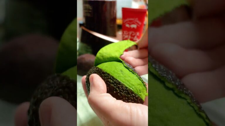 ボタンひとつで濃厚アボカドスムージー🍹/ Creamy Avocado Smoothie in One Click 🍹