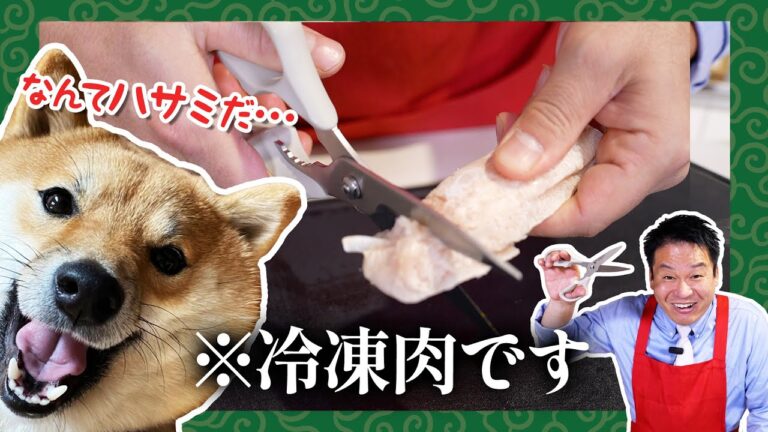 冷凍肉にも食い込むWギザ刃【ムテキバサミ】レジェンド松下プロデュース