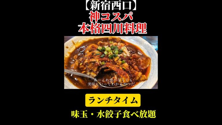 【新宿西口】本格四川料理【味玉・水餃子食べ放題
