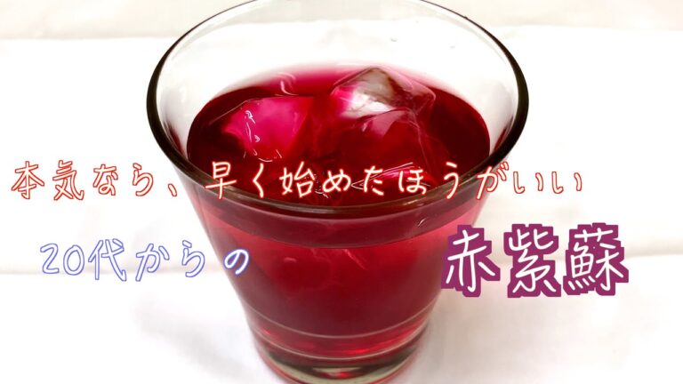 美容と健康、免疫力up！【赤紫蘇ドリンク】