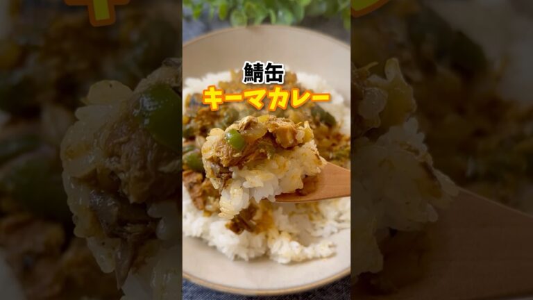 【旨みが溢れる】鯖缶キーマカレー